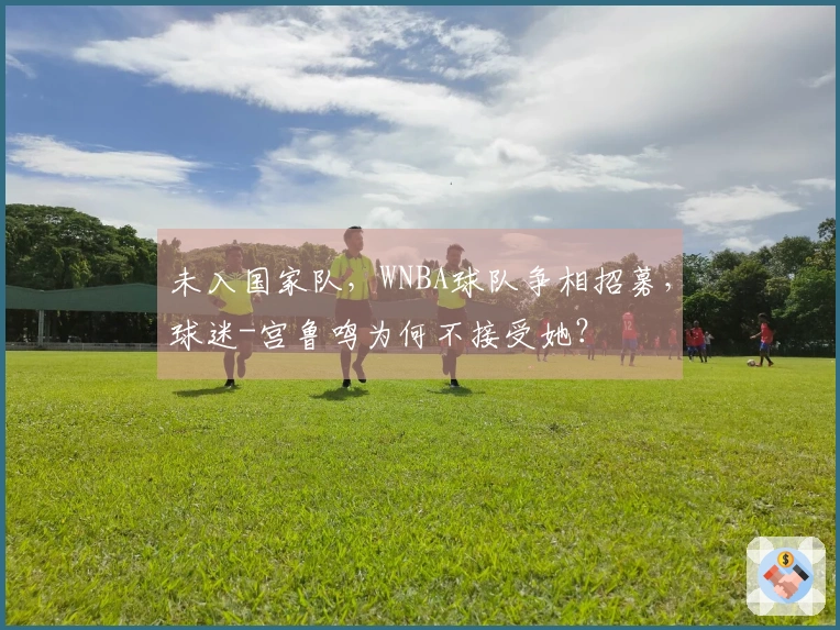 未入国家队，WNBA球队争相招募，球迷-宫鲁鸣为何不接受她？