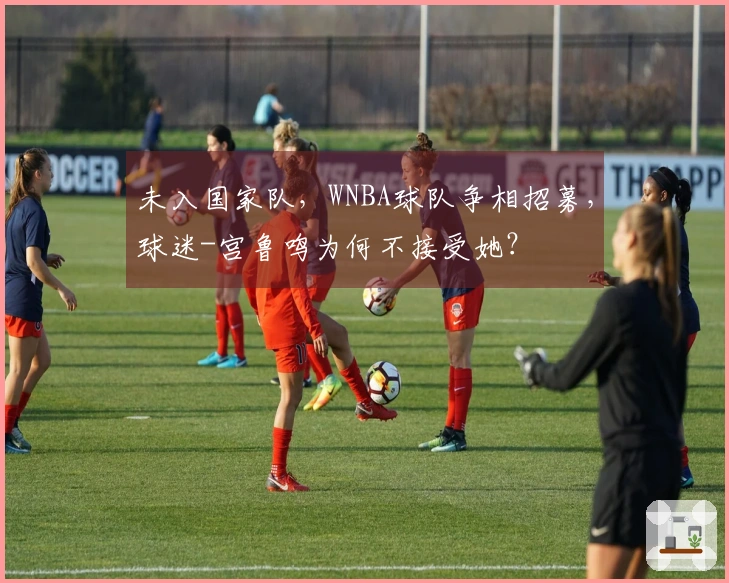 未入国家队,WNBA球队争相招募,球迷-宫鲁鸣为何不接受她?